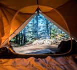 Plan A Camping Trip: 5 Things To Do