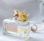 Best Smelling City Perfume Picks You Should Try