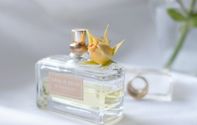 Best Smelling City Perfume Picks You Should Try