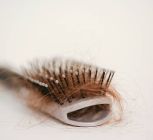 Is It Possible To Reverse Hair Loss By Eating A Plant-Based Diet?