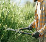 Must-Have Tools for Beginner Gardeners from Hoselink