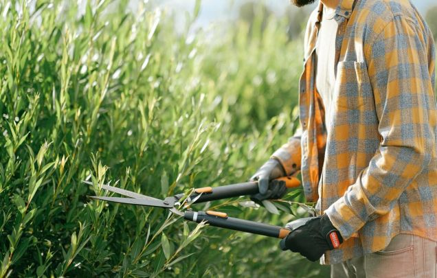 Must-Have Tools for Beginner Gardeners from Hoselink