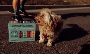 5 Best Wayfair's Top-Rated Products for Spoiled Fur Babies
